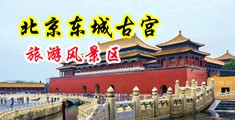 性感开腿黑丝娇喘喷水视频中国北京-东城古宫旅游风景区